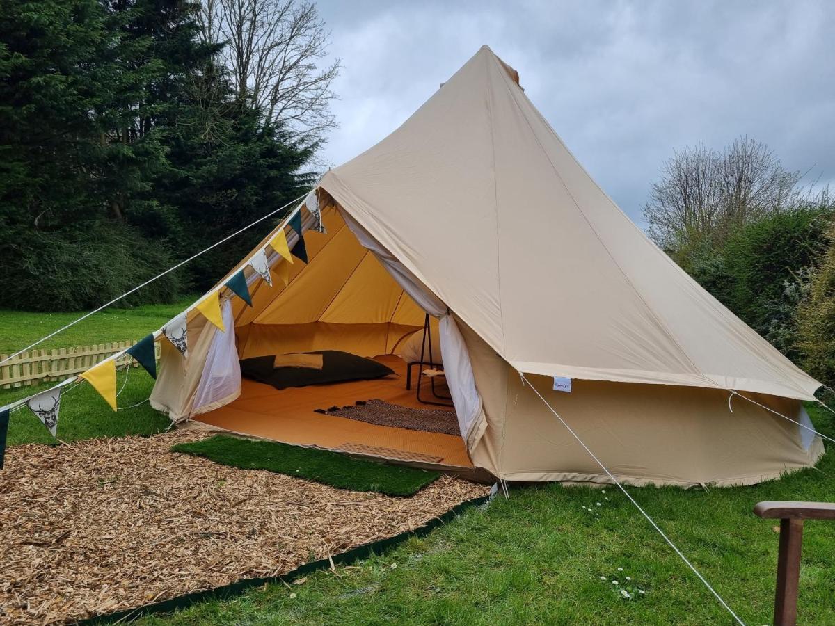 Dartmoor Halfway Inn 牛顿阿伯特 外观 照片